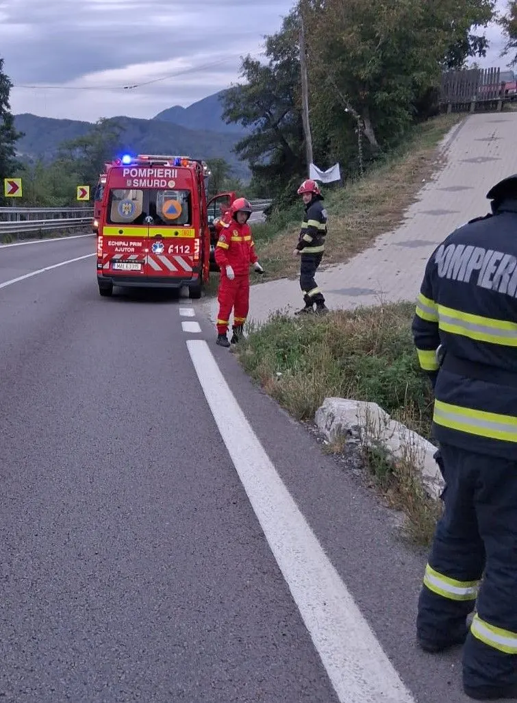 Foc de vegetație la Lăpușata, în bilanțul ISU Vâlcea