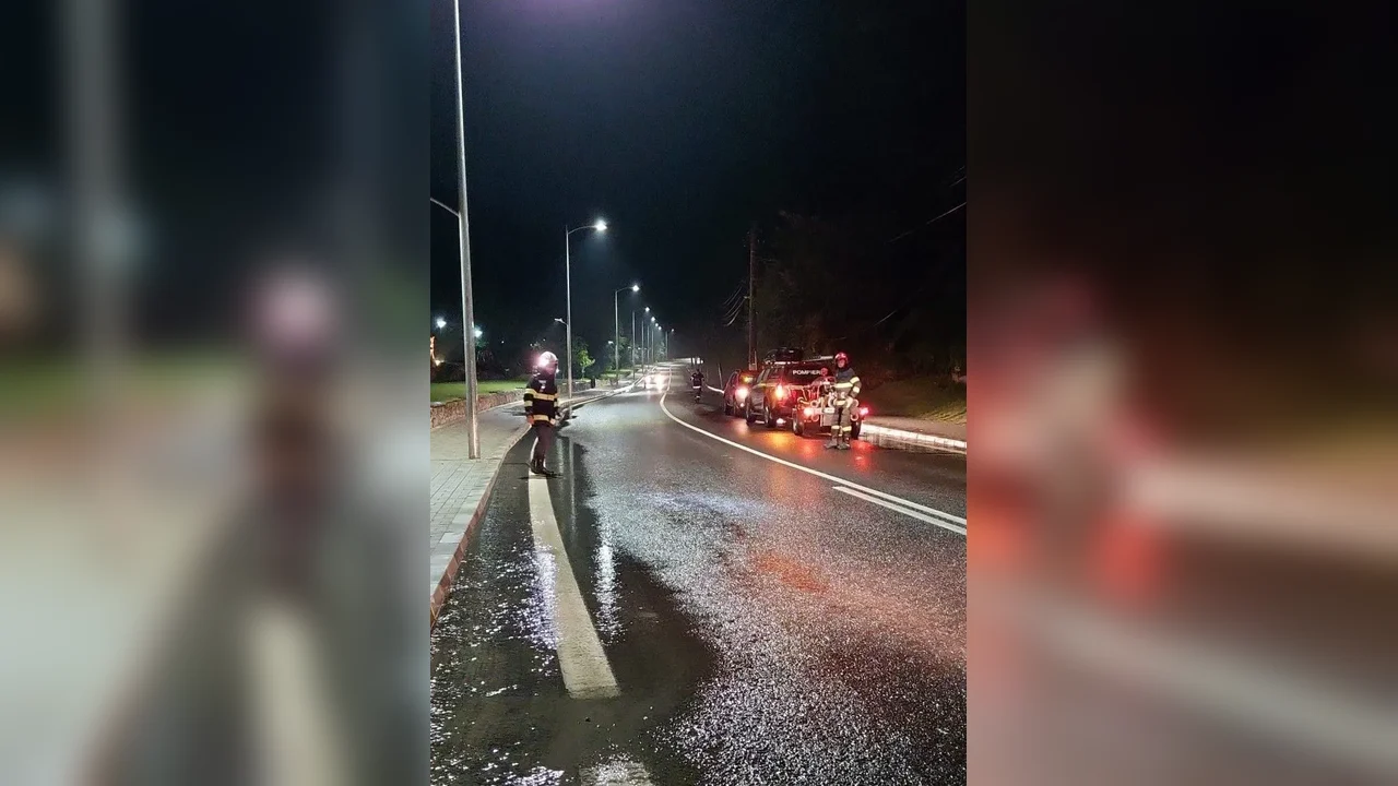 RO-ALERT pentru un urs la Golești; trei incendii de vegetație în județ